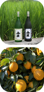 region スライダー