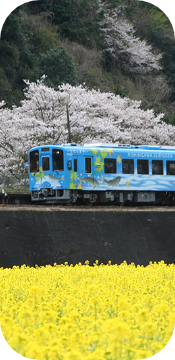 region スライダー